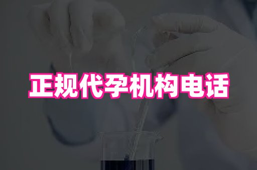 61助孕网 1